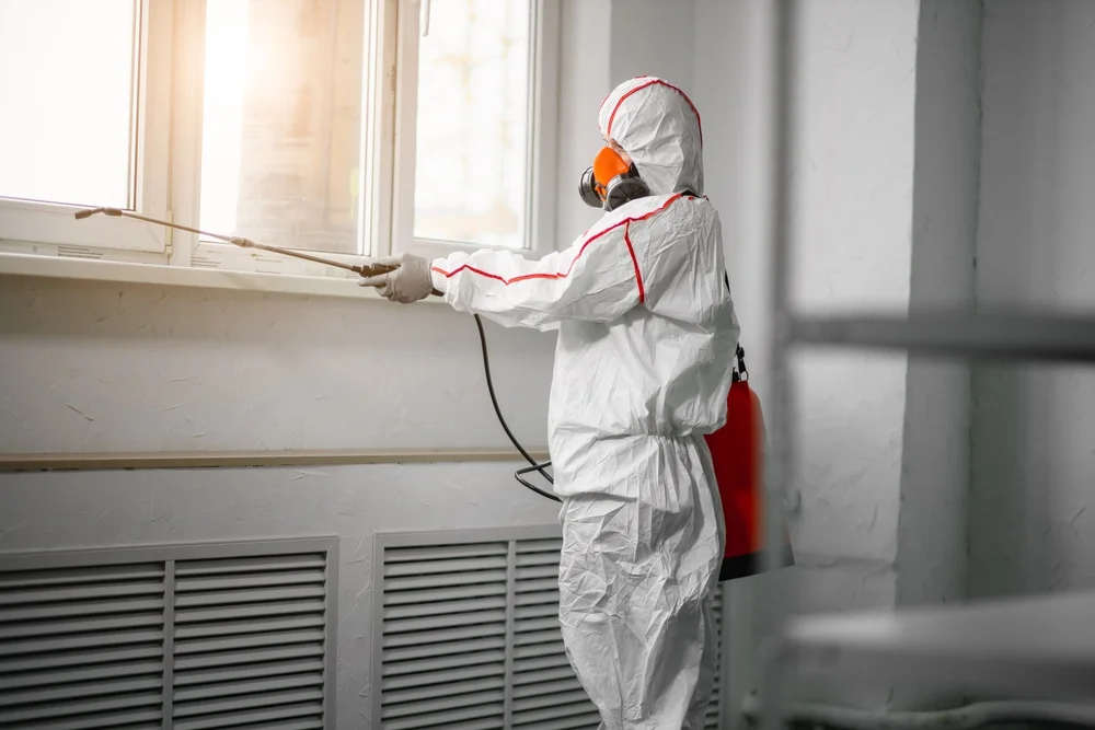 Professional mold remediation services in Voorhees, NJ